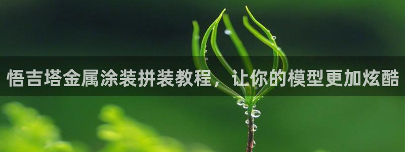 美狮美高梅美食