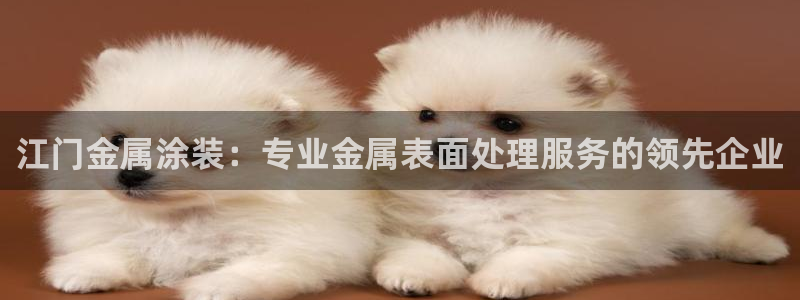 美高梅风水