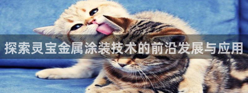美高梅酒店多少钱一晚上海