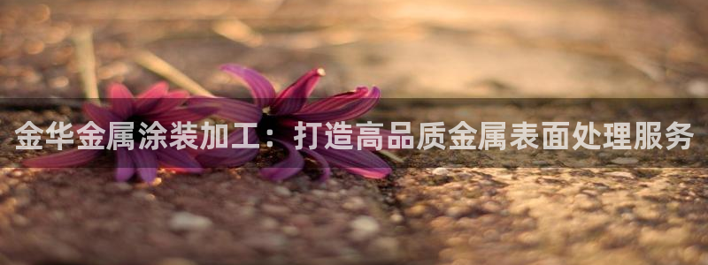 美高梅公司旗下有哪些公司