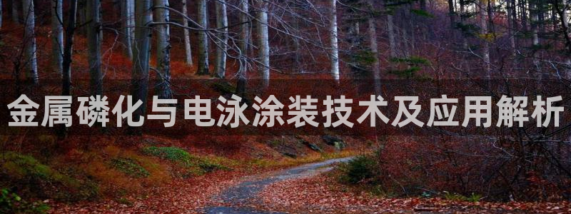 美狮美高梅酒店开业
