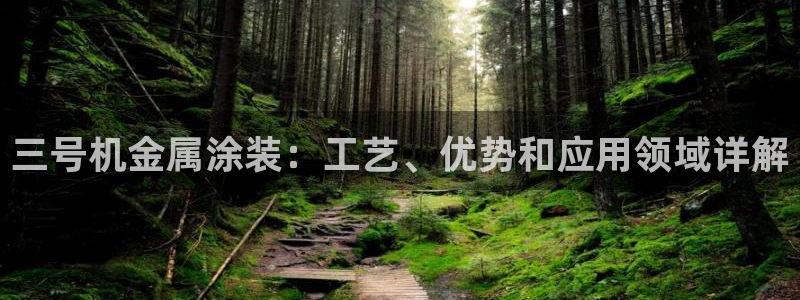 美高梅酒店集团是哪个国家的