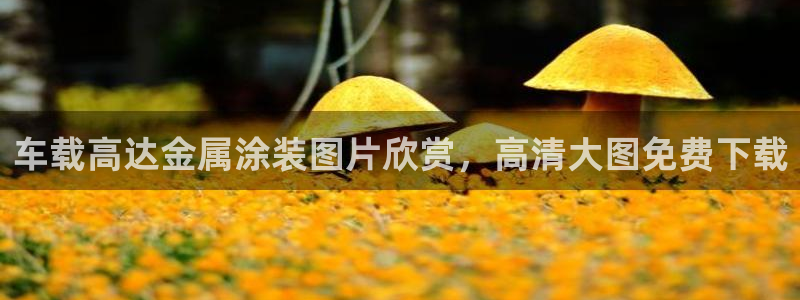 美高梅集团总部在哪