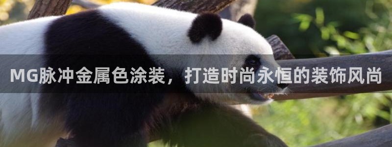 8ggg美高梅游戏官网