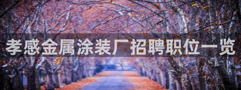 美高梅酒店澳门老板