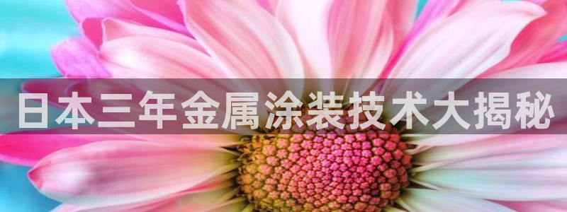 美高梅软件开发创始人