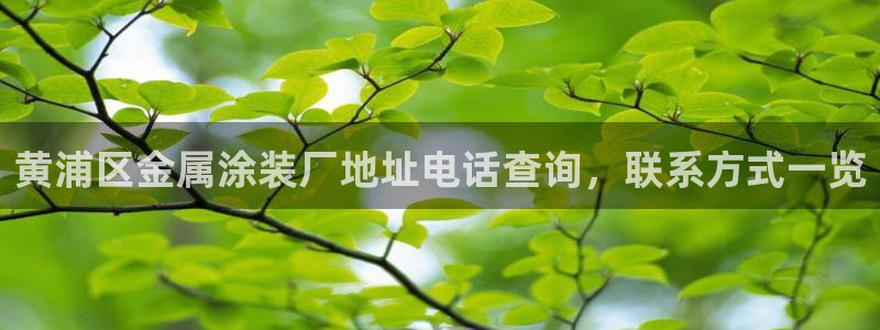 美高梅中国股吧