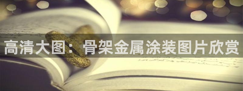 美狮美高梅酒店英语