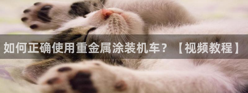 美高梅二楼有什么