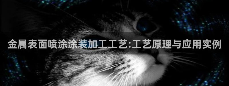 美高梅酒店股票