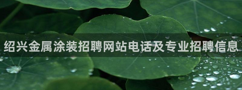 美高梅会员等级怎么看