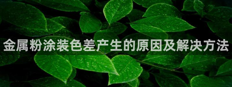 美狮美高梅商场