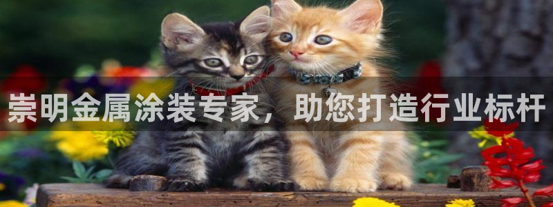 美狮美高梅酒店五行属什么
