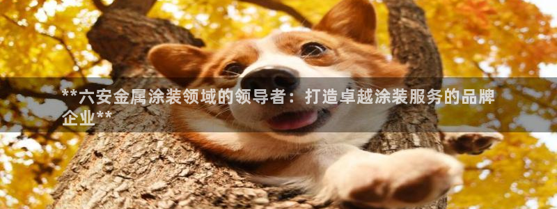 美高梅酒店招聘信息