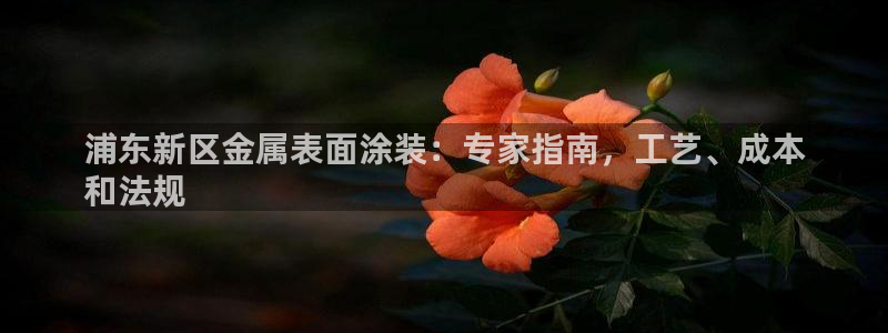 美高梅旗下