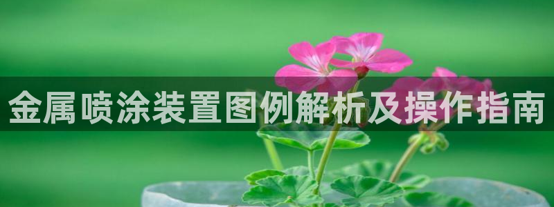 美高梅筹码颜色对应面值