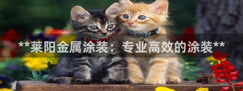 美高梅酒店自助餐年卡