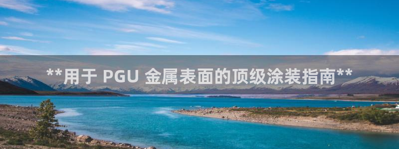 美高梅何超琼股份