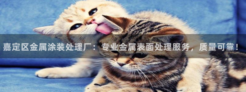美高梅是谁的?