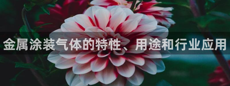 美狮美高梅酒店可以抽烟吗