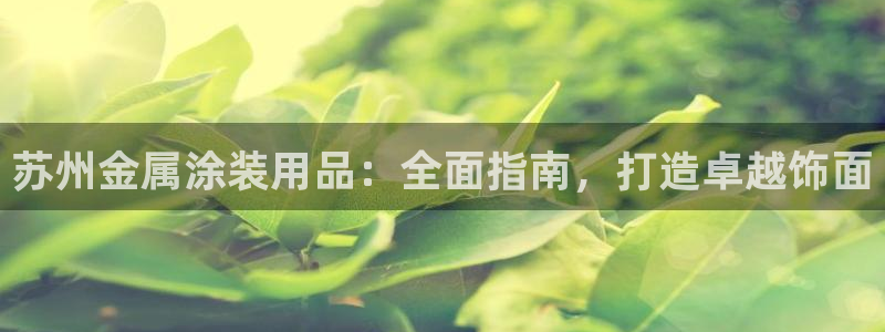 美狮美高梅商场