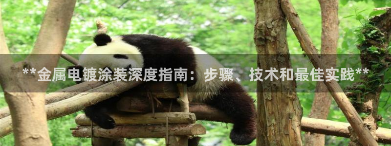 美高梅至尊卡级别