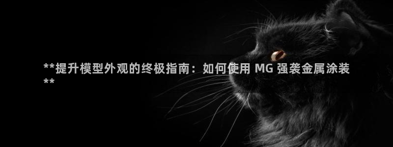 美狮美高梅酒店港澳快线