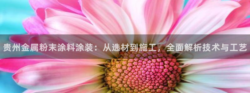 美高梅酒店武汉