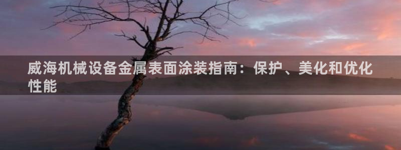 美高梅游戏攻略