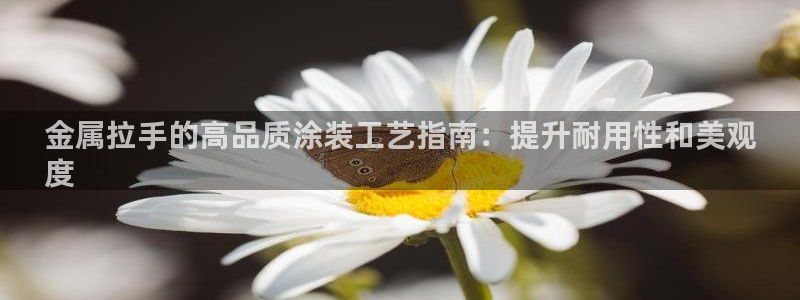 美高梅手机游戏怎么玩