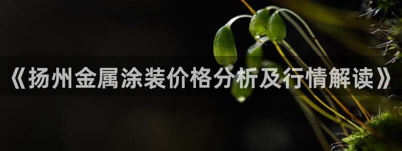 美高梅酒店武汉