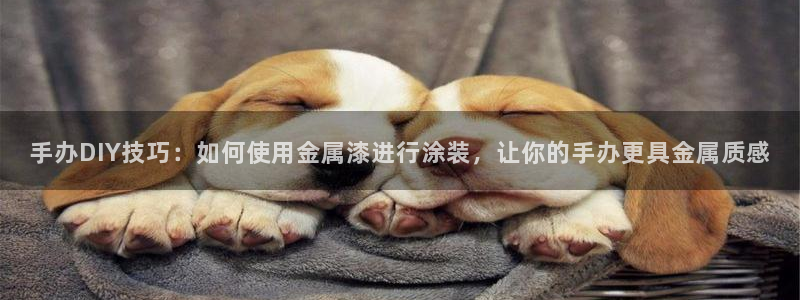 美高梅股票代码