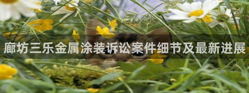 美高梅空气炸锅怎么样