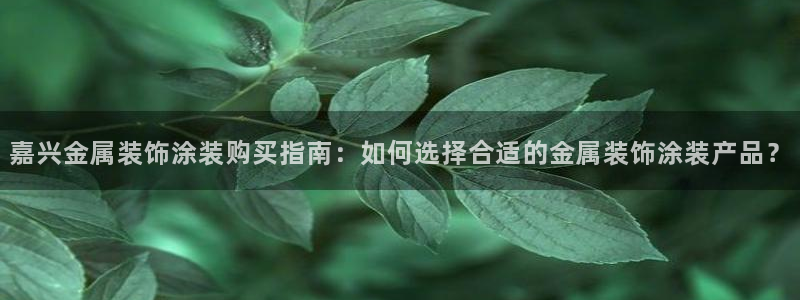 美高梅股票中国毛利率