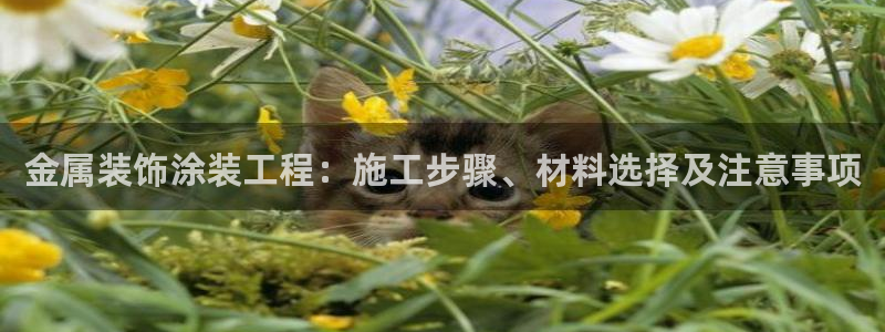 美高梅酒店会员卡级别