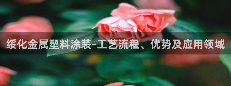 美高梅会员卡等级 金额