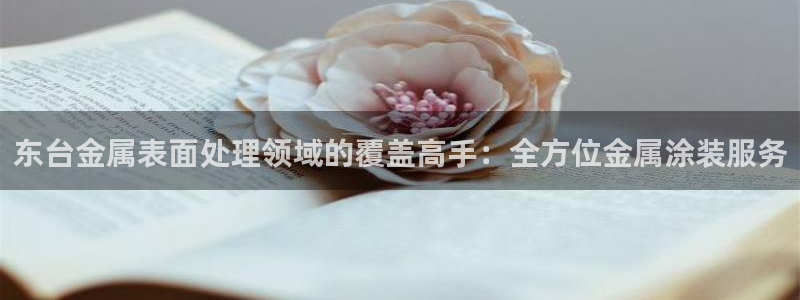 美高梅门前的狮子