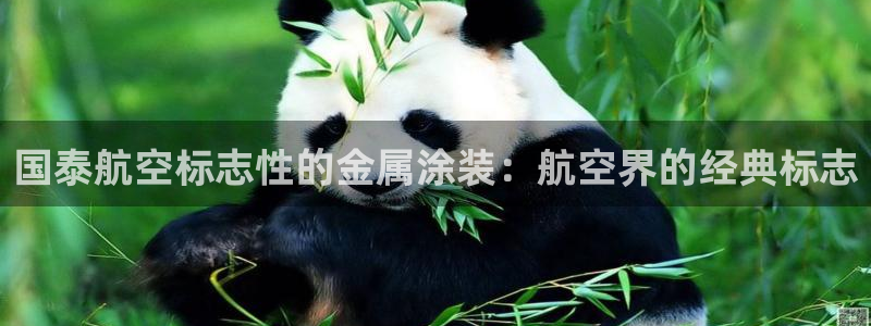美狮美高梅酒店武汉有吗