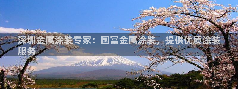 美高梅黑卡条件