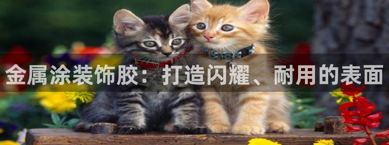 美高梅酒店价格