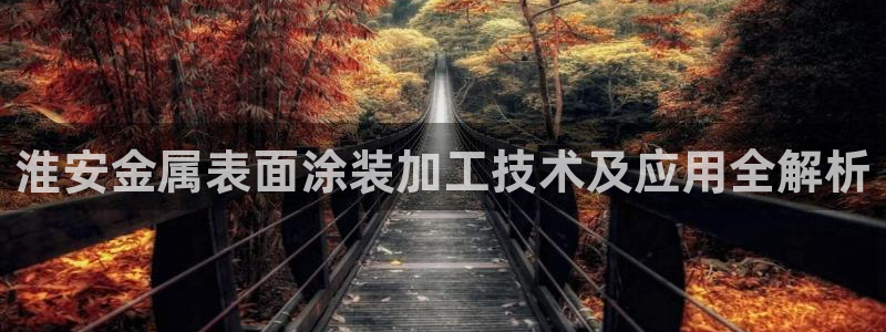 美狮美高梅酒店会员