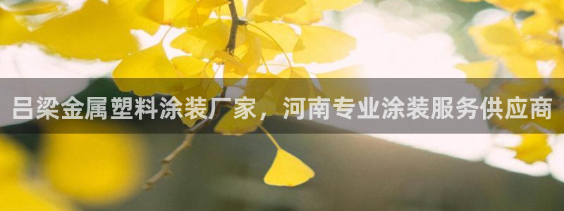 美高梅酒店logo图片高清