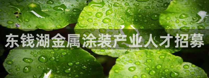 美高梅酒店狮子典故