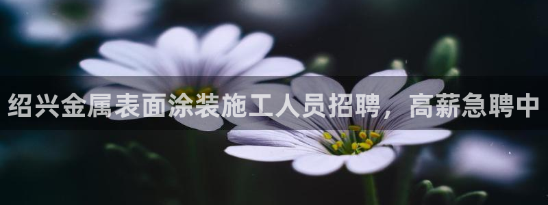 美高梅金卡是什么