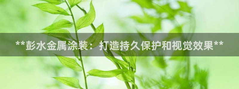 美高梅酒店自助