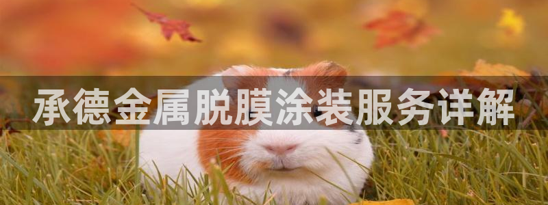 美高梅何超琼英文