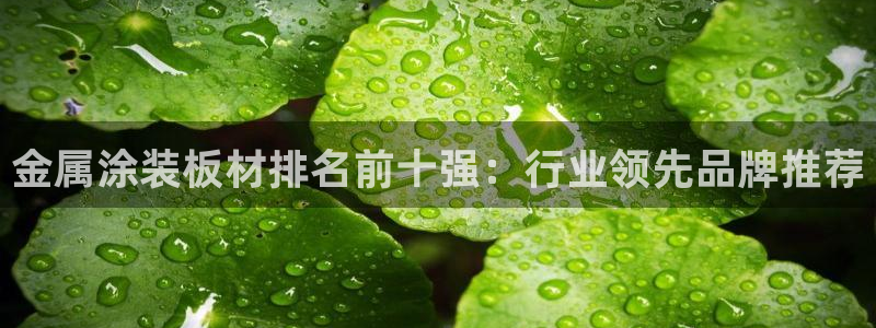 美高梅股票代码02282最近行情怎么样