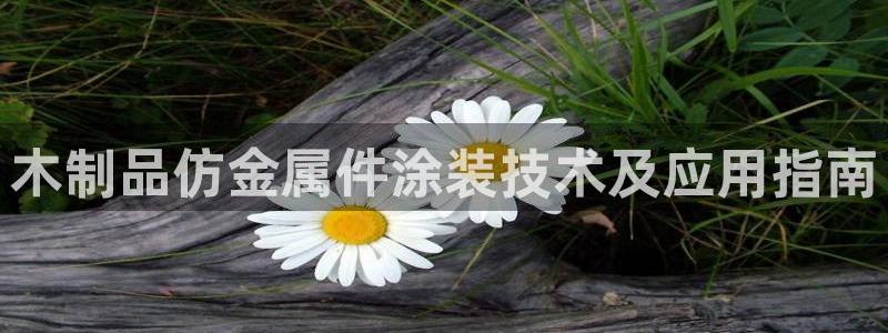 美高梅酒店老板
