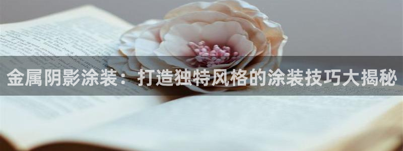 美高梅何超琼年薪：金属阴影涂装：打造独特