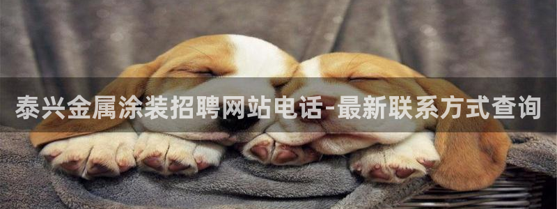 美高梅百款游戏